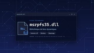 Visuel technique du fichier msrpfs35.dll, bibliothèque de liens dynamiques de Windows