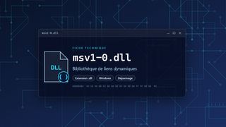Visuel technique du fichier msv1-0.dll, bibliothèque de liens dynamiques de Windows