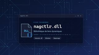 Visuel technique du fichier nagctlr.dll, bibliothèque de liens dynamiques de Windows