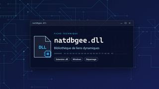 Visuel technique du fichier natdbgee.dll, bibliothèque de liens dynamiques de Windows