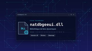 Visuel technique du fichier natdbgeeui.dll, bibliothèque de liens dynamiques de Windows