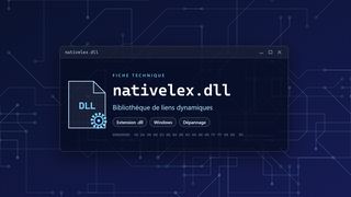 Visuel technique du fichier nativelex.dll, bibliothèque de liens dynamiques de Windows
