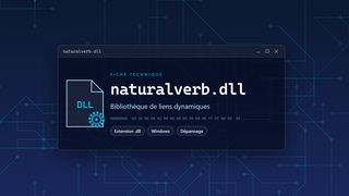 Visuel technique du fichier naturalverb.dll, bibliothèque de liens dynamiques de Windows