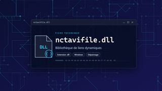Visuel technique du fichier nctavifile.dll, bibliothèque de liens dynamiques de Windows