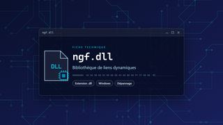 Visuel technique du fichier ngf.dll, bibliothèque de liens dynamiques de Windows