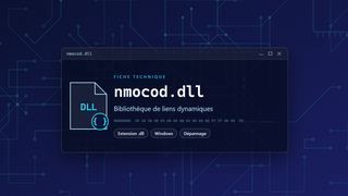 Visuel technique du fichier nmocod.dll, bibliothèque de liens dynamiques de Windows