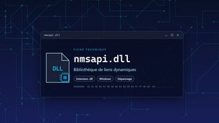 Visuel technique du fichier nmsapi.dll, bibliothèque de liens dynamiques de Windows