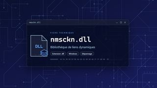 Visuel technique du fichier nmsckn.dll, bibliothèque de liens dynamiques de Windows