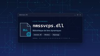 Visuel technique du fichier nmssvcps.dll, bibliothèque de liens dynamiques de Windows