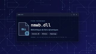 Visuel technique du fichier nmwb.dll, bibliothèque de liens dynamiques de Windows