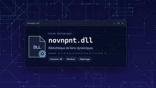 Visuel technique du fichier novnpnt.dll, bibliothèque de liens dynamiques de Windows