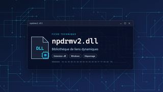 Visuel technique du fichier npdrmv2.dll, bibliothèque de liens dynamiques de Windows