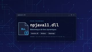 Visuel technique du fichier npjava11.dll, bibliothèque de liens dynamiques de Windows