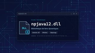 Visuel technique du fichier npjava12.dll, bibliothèque de liens dynamiques de Windows