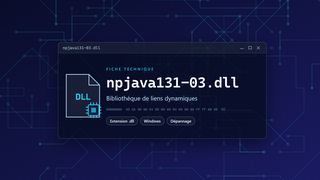 Visuel technique du fichier npjava131-03.dll, bibliothèque de liens dynamiques de Windows