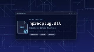 Visuel technique du fichier npracplug.dll, bibliothèque de liens dynamiques de Windows