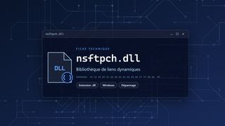 Visuel technique du fichier nsftpch.dll, bibliothèque de liens dynamiques de Windows