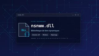 Visuel technique du fichier nsnww.dll, bibliothèque de liens dynamiques de Windows