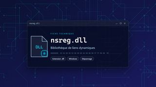 Visuel technique du fichier nsreg.dll, bibliothèque de liens dynamiques de Windows