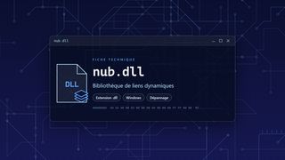 Visuel technique du fichier nub.dll, bibliothèque de liens dynamiques de Windows