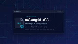 Visuel technique du fichier nwlangid.dll, bibliothèque de liens dynamiques de Windows