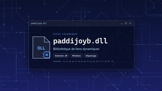 Visuel technique du fichier paddijoyb.dll, bibliothèque de liens dynamiques de Windows