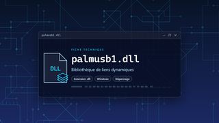 Visuel technique du fichier palmusb1.dll, bibliothèque de liens dynamiques de Windows