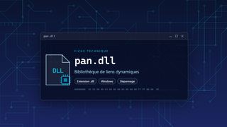 Visuel technique du fichier pan.dll, bibliothèque de liens dynamiques de Windows