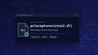Visuel technique du fichier pclecapturecirrus2.dll, bibliothèque de liens dynamiques de Windows
