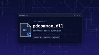 Visuel technique du fichier pdcommon.dll, bibliothèque de liens dynamiques de Windows