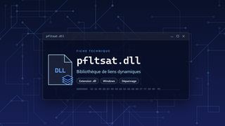 Visuel technique du fichier pfltsat.dll, bibliothèque de liens dynamiques de Windows