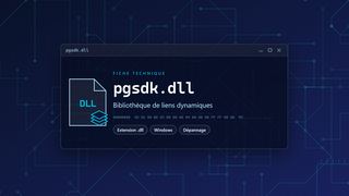 Visuel technique du fichier pgsdk.dll, bibliothèque de liens dynamiques de Windows