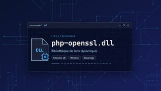 Visuel technique du fichier php-openssl.dll, bibliothèque de liens dynamiques de Windows