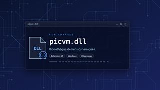 Visuel technique du fichier picvm.dll, bibliothèque de liens dynamiques de Windows