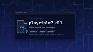 Visuel technique du fichier playriplw7.dll, bibliothèque de liens dynamiques de Windows