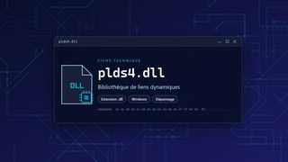 Visuel technique du fichier plds4.dll, bibliothèque de liens dynamiques de Windows