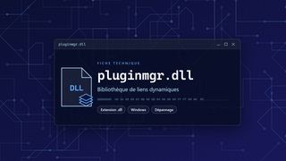 Visuel technique du fichier pluginmgr.dll, bibliothèque de liens dynamiques de Windows