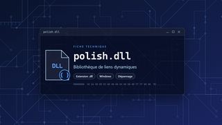 Visuel technique du fichier polish.dll, bibliothèque de liens dynamiques de Windows