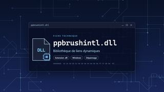 Visuel technique du fichier ppbrushintl.dll, bibliothèque de liens dynamiques de Windows