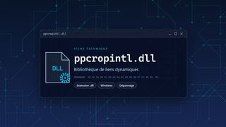 Visuel technique du fichier ppcropintl.dll, bibliothèque de liens dynamiques de Windows