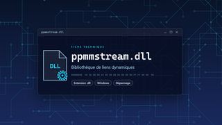Visuel technique du fichier ppmmstream.dll, bibliothèque de liens dynamiques de Windows