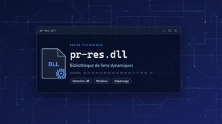 Visuel technique du fichier pr-res.dll, bibliothèque de liens dynamiques de Windows