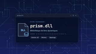 Visuel technique du fichier prism.dll, bibliothèque de liens dynamiques de Windows