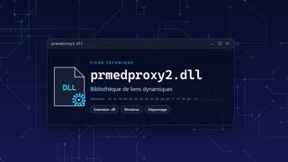 Visuel technique du fichier prmedproxy2.dll, bibliothèque de liens dynamiques de Windows