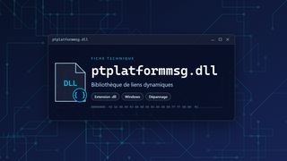 Visuel technique du fichier ptplatformmsg.dll, bibliothèque de liens dynamiques de Windows