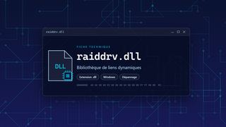 Visuel technique du fichier raiddrv.dll, bibliothèque de liens dynamiques de Windows