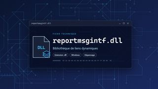 Visuel technique du fichier reportmsgintf.dll, bibliothèque de liens dynamiques de Windows