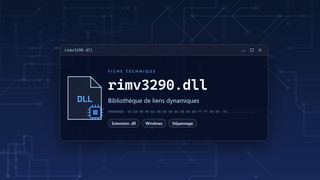 Visuel technique du fichier rimv3290.dll, bibliothèque de liens dynamiques de Windows