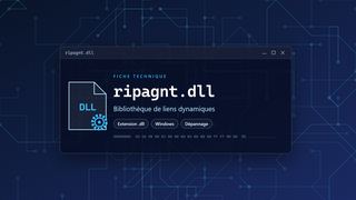Visuel technique du fichier ripagnt.dll, bibliothèque de liens dynamiques de Windows