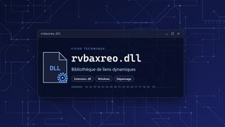 Visuel technique du fichier rvbaxreo.dll, bibliothèque de liens dynamiques de Windows